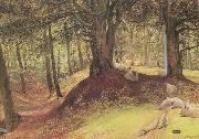 Richard Redgrave,RA Parkhurst Woods,Abinger (mk46) oil painting reproduction